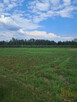 Działka inwestycyjna Kamionka gm. Prażmów, - 1