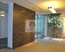 Lokal użytkowy Warszawa Mokotów, Domaniewska - 6