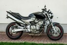 Honda Hornet CB 600 N 2003 Raty NAJWIĘKSZY WYBÓR MOTO w PL Mega Zadbana Duży Wybór - 2