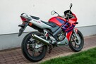 Honda CBR 125 2005 JC 34 Raty Transport Największy Wybór Moto 125 MOTOSTAR - 4