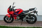 Honda CBR 125 2005 JC 34 Raty Transport Największy Wybór Moto 125 MOTOSTAR - 6