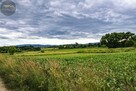 Działka budowlana Grodziszcze gm. Świdnica - 2