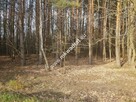 ⭐⭐⭐⭐2500 m2 urokliwa działka przy lesie z MPZP⭐⭐⭐⭐ - 3