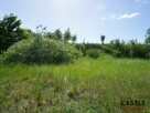 Działka inwestycyjna Pszczółki, Żuławska - 10