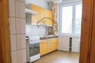Tynkarz, malarz, akrobata poszukiwany! - 4