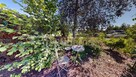 Ekskluzywna Rezydencja z Prywatną Strefą Home SPA - 11