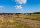 Działka 1506 m2 Białuń, ul. Jarzębinowa - MPZP - 8