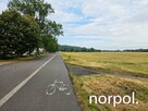 Lokal 75 m² na wynajem przy Błoniach – prestiż, ruch i świetna lokalizacja. - 4