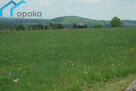 Działka budowlana Ustroń, Lipowska - 3
