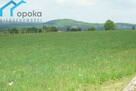 Działka budowlana Ustroń, Lipowska - 10