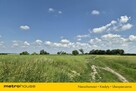 Dom parterowy, duża działka, Gorzesław gm Bierutów - 4