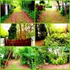 LEŚNICZÓWKA DWA DOMY CAŁOROCZNE DWIE DZIAŁKI OKAZJA