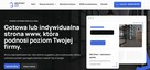Strona internetowa lub sklep w małej cenie - za portfolio - 2