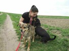 Wrażliwa, młoda ULA szuka kochającego domu !! - 3