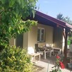 Działka ROD ZORZA w Ziemnicach k/Legnicy (PILNE) - 1
