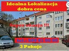 SPRZEDAM Super okazja Krzyki mieszkanie 3 pokoje nie zwlekaj - 14