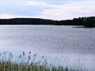Działka nad jeziorem. - 3