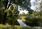 Kawalerka na Włochach - 5