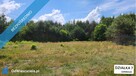 ZBOISKA K.RADZIEJOWIC - DZIAŁKI BUDOWLANE PRZY LESIE, ŚWIETNY DOJAZD S8 DO W-WY, CENY OD 94 TYŚ. ZŁ! - 4