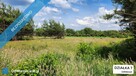 ZBOISKA K.RADZIEJOWIC - DZIAŁKI BUDOWLANE PRZY LESIE, ŚWIETNY DOJAZD S8 DO W-WY, CENY OD 94 TYŚ. ZŁ! - 5