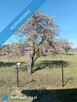Sprzedam nowy dom pod Łodzią - 5