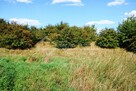 Działka budowlana Snopków gm. Jastków, Snopków, gmina Jastków - 11