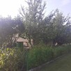 Działka ROD ZORZA w Ziemnicach k/Legnicy (PILNE) - 7
