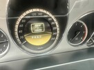 Sprzedam mercedesa w 207 - 10