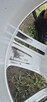alu koła 5x115 insignia b 215/55/17.top stan.kpl.astra j,zaf - 12