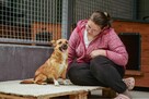 Ruda Różyczka czeka na prawdziwy dom-adoptuj - 3