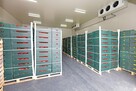 Chłodnia, magazyn 50-200 m² regały, wózek widłowy