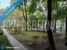 Centrum, obok Plazy, możliwe 3 pokoje, 47m2, Śródmieście, ul.Chopina, wysoki sufit - 15