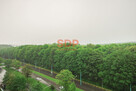 Mieszkanie Katowice, Chorzowska - 11