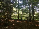 Piękna działka widokowa  w Cierchach .bezpośrednio. - 10