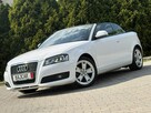 Audi A3 Serwisowany * Cabrio * Oryg. Przebieg * Podg. Fotele * Klimatyzacja dw