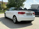 Audi A3 Serwisowany * Cabrio * Oryg. Przebieg * Podg. Fotele * Klimatyzacja dw - 5