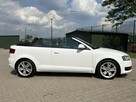 Audi A3 Serwisowany * Cabrio * Oryg. Przebieg * Podg. Fotele * Klimatyzacja dw - 7