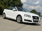 Audi A3 Serwisowany * Cabrio * Oryg. Przebieg * Podg. Fotele * Klimatyzacja dw - 8