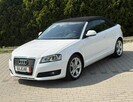 Audi A3 Serwisowany * Cabrio * Oryg. Przebieg * Podg. Fotele * Klimatyzacja dw - 9