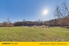 3 pokoje, 70 m²  Mokotów, Staw pod Warszawianką - 15