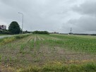 Działki budowlane na sprzedaż – Główiew, gm. Stare Miasto - 4