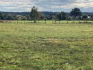 Sprzedam dużą działkę budowlaną - 2