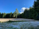 Działka Rolna położona w otulinie Bolimowskiego Parku Krajob - 14