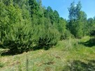 Działka budowlana - 9