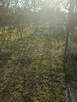 Działka ROD Ustronie 302m2 - 4