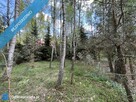 Działka z domkiem letniskowym w klimatycznym lesie - 45 min od Warszawy - 11