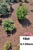 KORA SOSNOWA 80L Sortowana Ogrodowa Jackowski GARDEN - 2