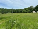 Rezerwacja/Siedlisko pod lasem, 4,81 ha, Puszcza Biała - 11