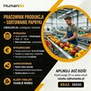 Oferta pracy - Prace produkcyjne (sortowanie papryki)