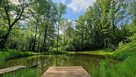 Domek do wynajęcia domek letniskowy w lesie nad stawem - 10